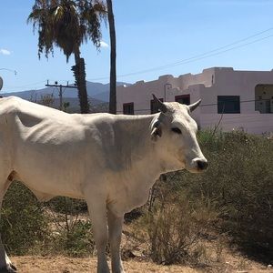 Meet your Posher, Alison